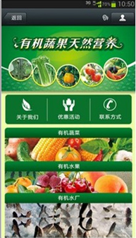 微网站